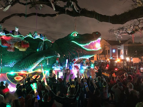 New Orleans Swamp Tours LLC Gallery - United States
