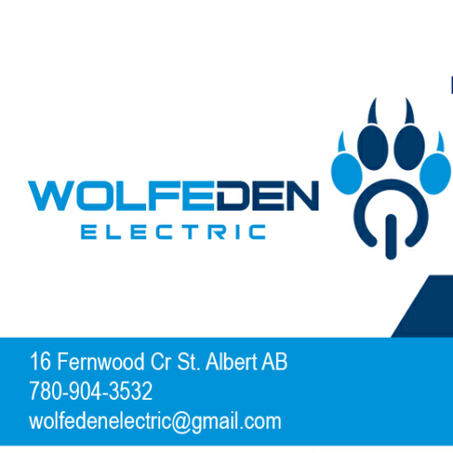Wolfeden Electric - Visual