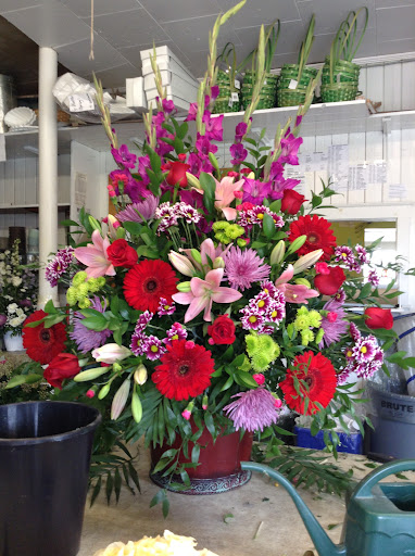 BLOSSOM SHOP SACKVILLE - Thumbnail