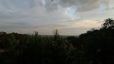 park