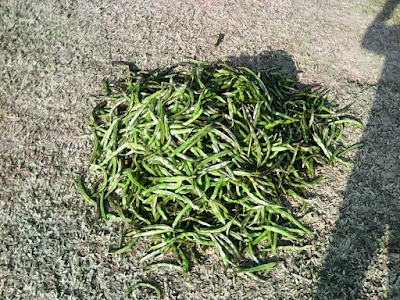Photos of bharua bazar ভারুয়া বাজার