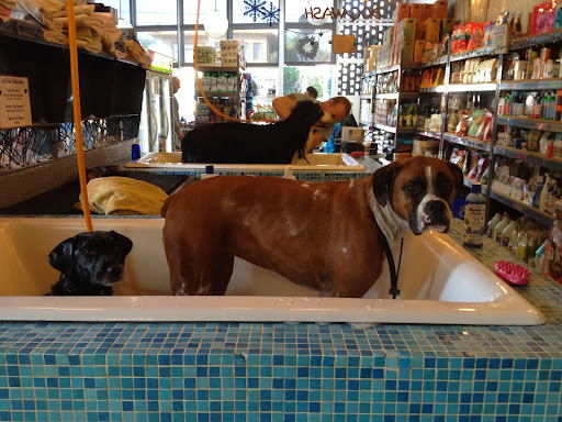 South Bark Dog Wash and Retail Store - Thumbnail