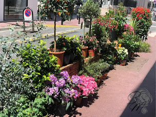 Photo n°8 de Barbara Monterosso à Cannes (Magasin de plantes artificielles)
