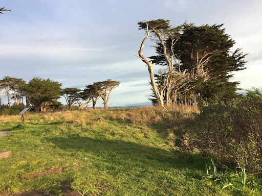 Waluplh-Lighthouse Ranch - Thumbnail