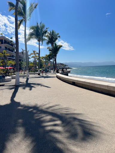 Mandala Puerto Vallarta - Thumbnail