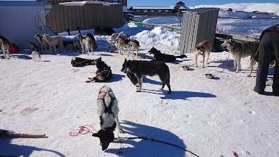 Photos of Snow Farm Lodge