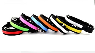 LovePetz