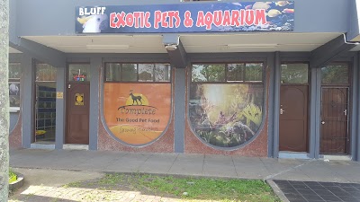 pet-store