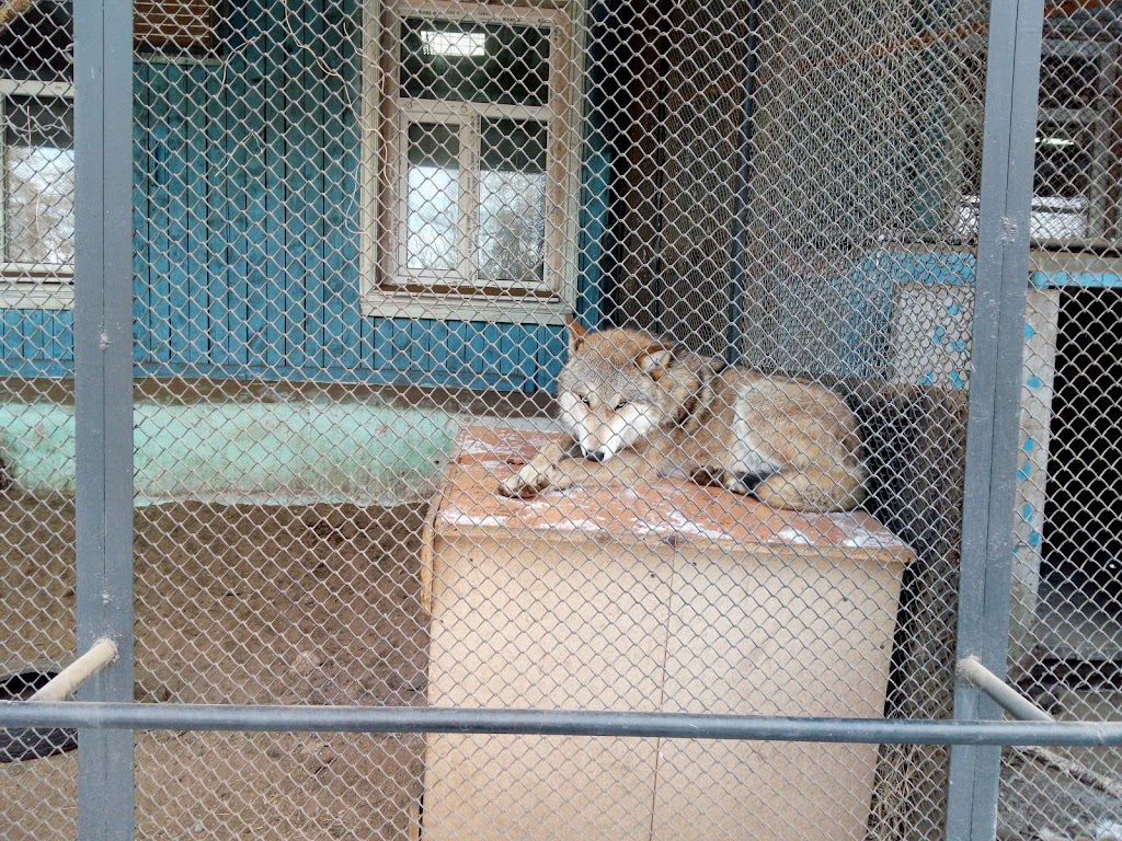 Читинский городской зоопарк