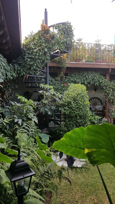 Photos of Hotel La Catedral