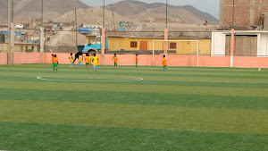 Campo Deportivo Pata Amarilla 0