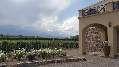 Photos of Winery Black Stone (Lurton)