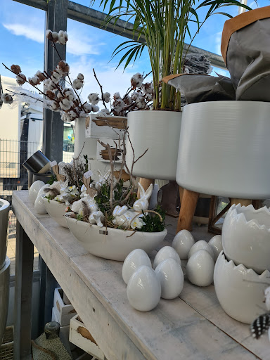 Blumen Scheumann - Visual