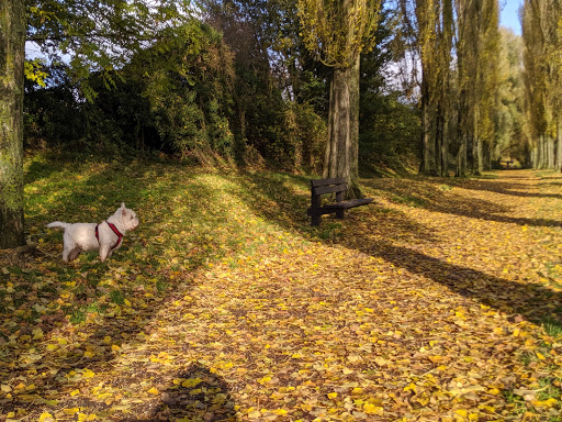 Waterhall Park Car Park - Thumbnail