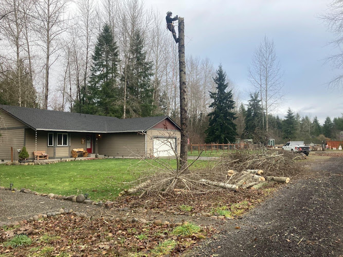 Demarzo Tree Services LLC