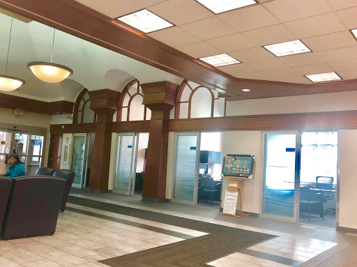Edmonton Millwoods - Visual