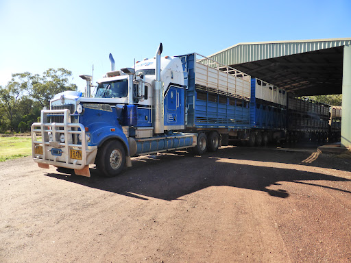 Sheridan Delforce Transport