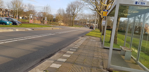 Raalte, Merel - Thumbnail