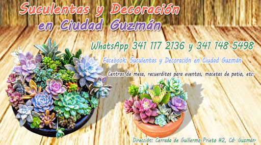 Casa Suculenta Ciudad Guzmán