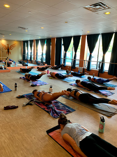 Ash Hot Yoga, Fitness & Wellness Center - Thumbnail