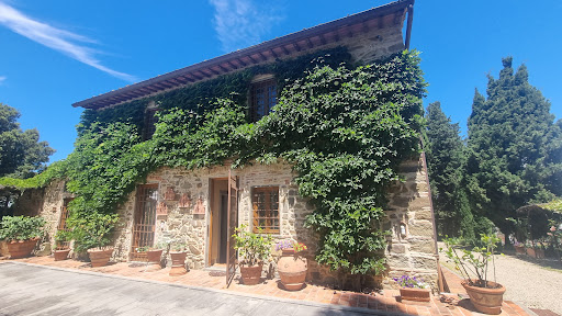 We Like Tuscany Tour Operator - Thumbnail