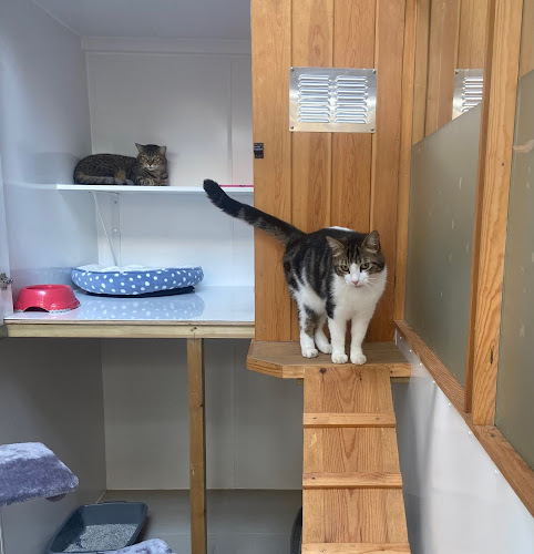 The Old Mistal Cattery