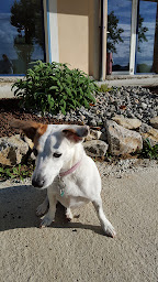 Photo n°4 de Groupe Vétérinaire St Bernard- Les Arcs Sur Argens à Les Arcs (Clinique vétérinaire)