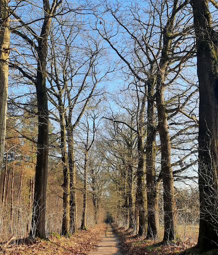 Westerheide - Visual