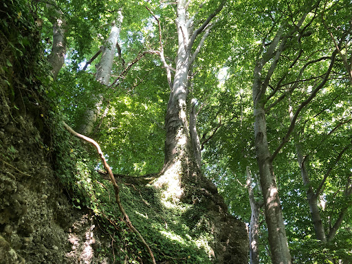 Steinfelsen - Visual