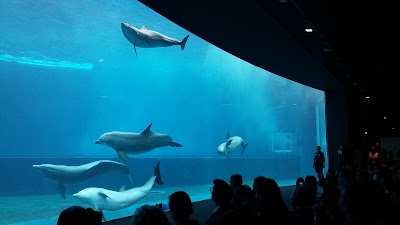 Aquarium of Genoa