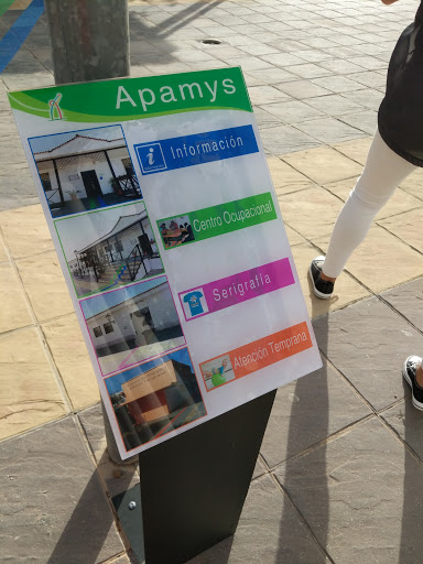 APAMYS - Visual