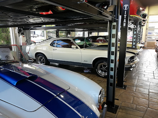 Cobra Auto Sport Gallery - Canada