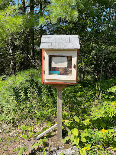 Wee Library