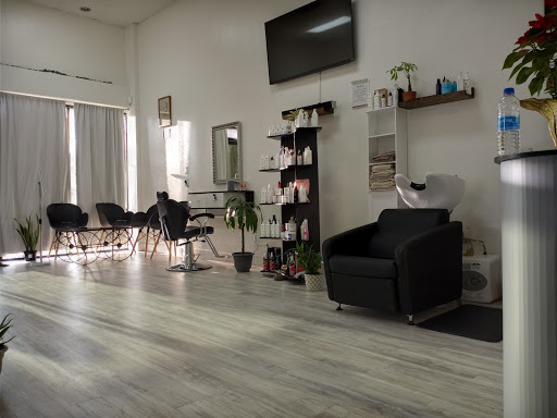 Mariebraids Hair Braiding Gallery - United States