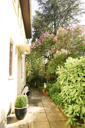 DSI Immobilien - Thumbnail
