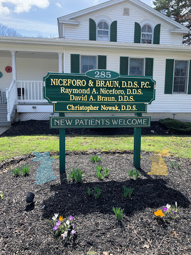 Niceforo and Braun & Nowak D.D.S.,P.C.
