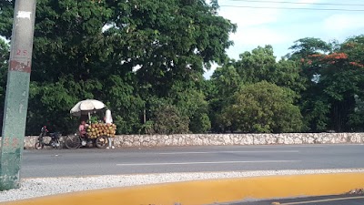 Photos of Tienda Cactus