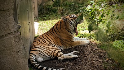 Cleveland Metroparks Zoo