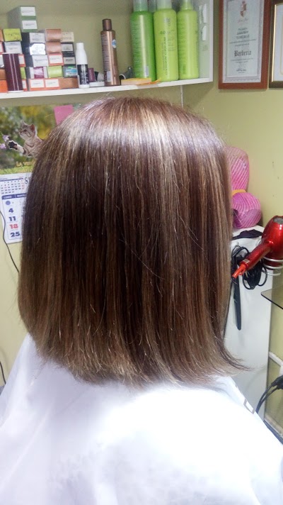Photos of Peluquer&iacute;a Altos De Mahuiza