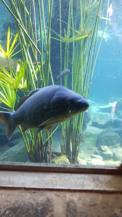 Photos of Hartbeespoort Aquarium