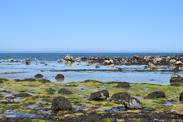Haugh Road Beach