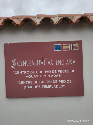 Piscifactoría Polinyà de Xúquer