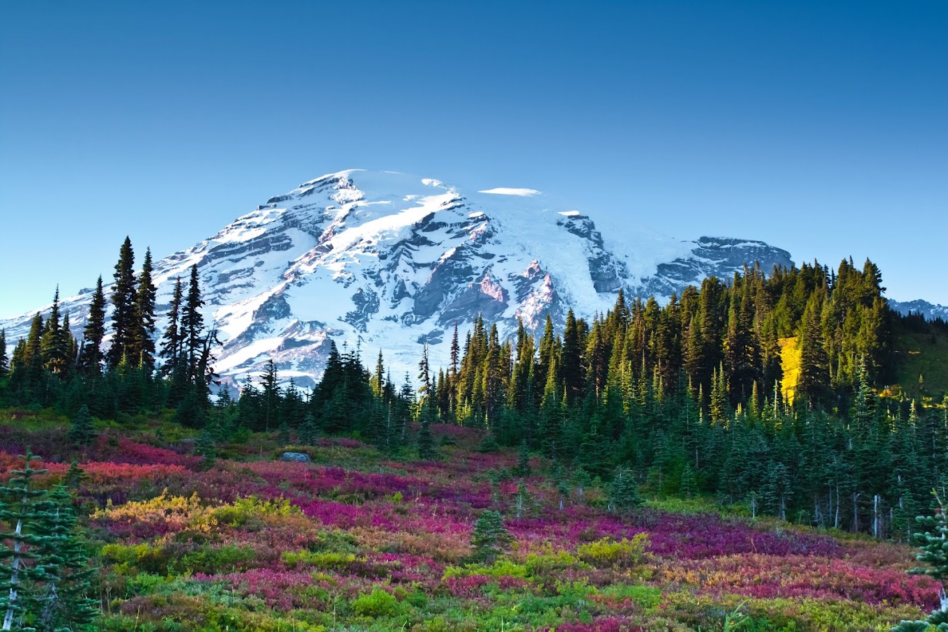 Photo of Skyline Trail