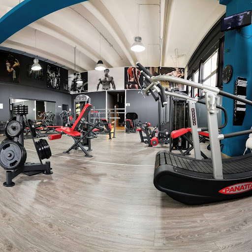 Tigers Gym - Visual