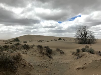 Christmas Valley Sand Dunes