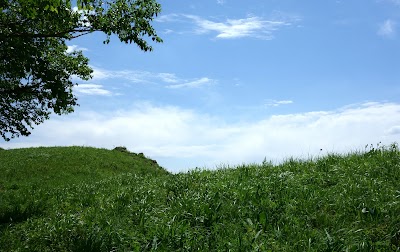 Photos of Dahaituo