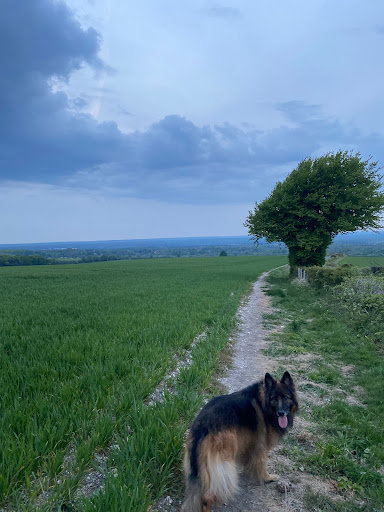 View Point - London Vista - Thumbnail