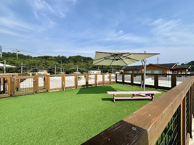 ドッグラン（房総の駅とみうら）