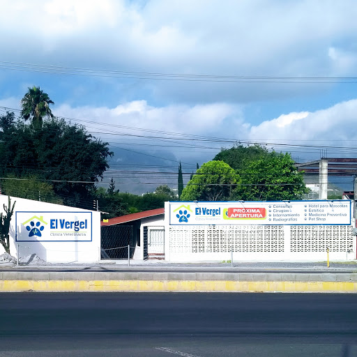 El Vergel Clínica Veterinaria