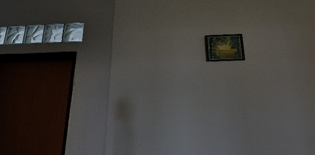 Komentáře a recenze na Polyglot - Pobočka Jihlava